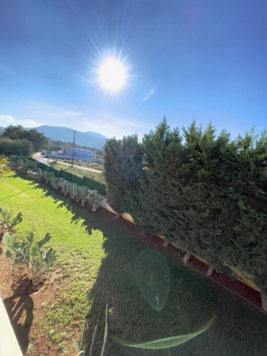 Аn independent house in Athens - Lagonisi photo 16