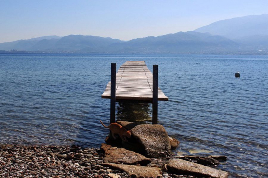 VILLA “PETRINO” IN NAFPAKTOS -CENTRAL GREECE photo 1