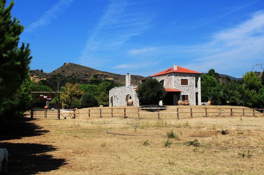 VILLA “PETRINO” IN NAFPAKTOS -CENTRAL GREECE photo 21