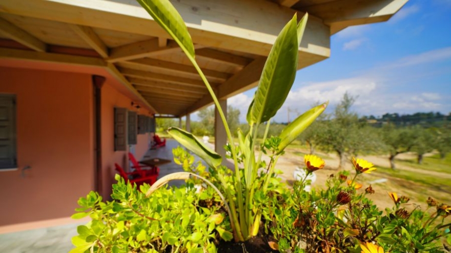 Olive Grove Rock Villa - Порто Хели фото 30