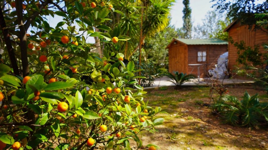 Olive Grove Rock Villa - Порто Хели фото 55