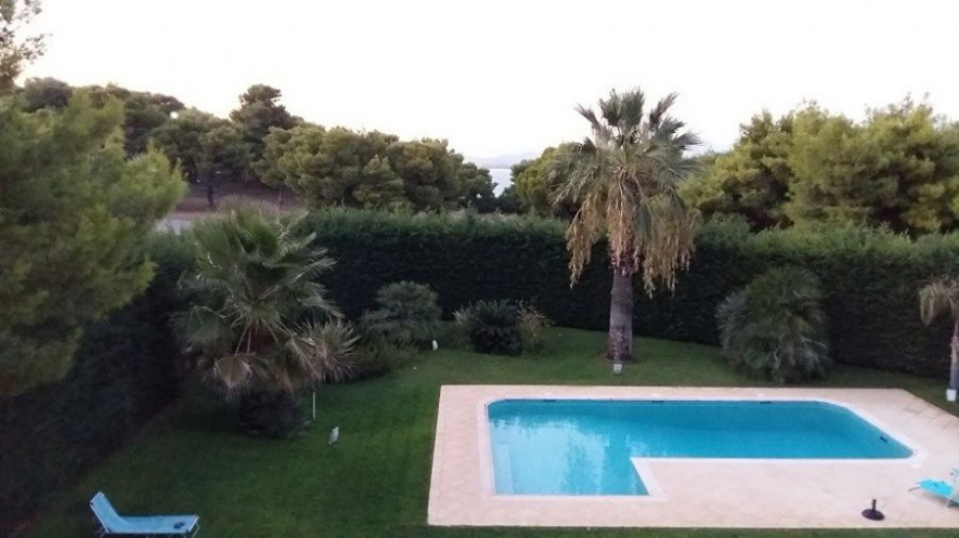 Раскошная вилла в Дилеси фото 6