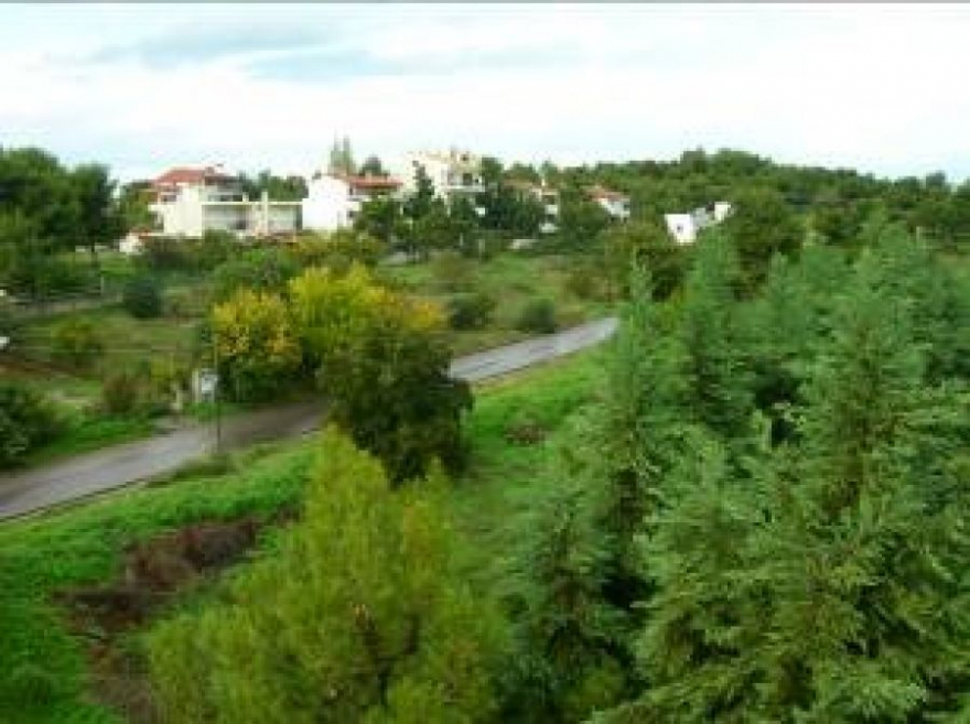 Villa Olivia photo 4