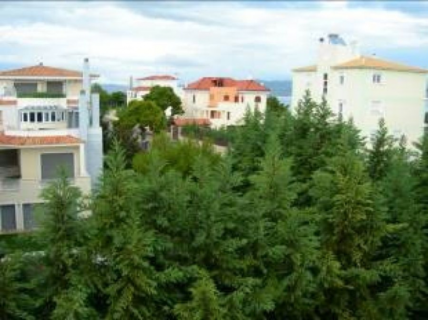 Villa Olivia photo 5