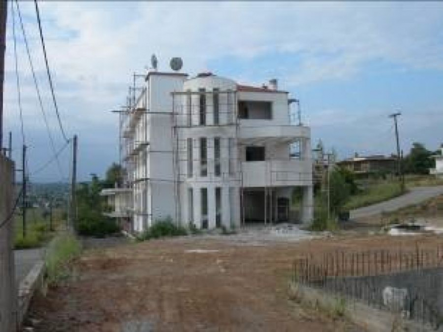 Villa Olivia photo 6