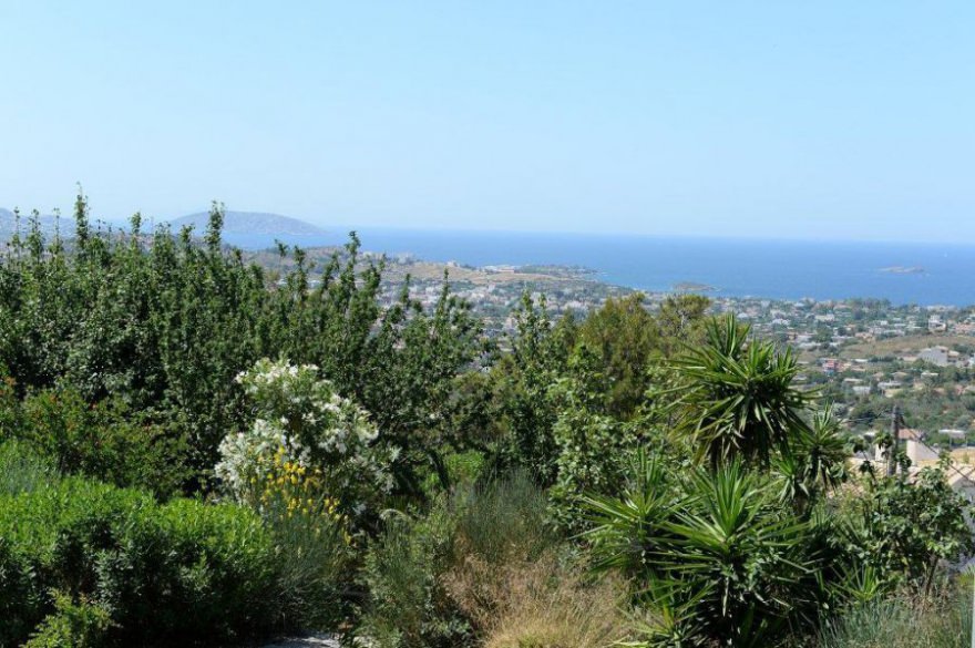 Luxury villa in the suburbs of Athens - Lagonisi photo 4