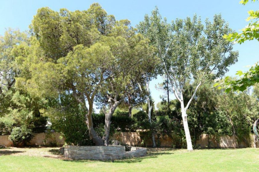 Luxury villa in the suburbs of Athens - Lagonisi photo 6